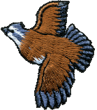 Jumbo 5-1/2 inch round embroidered WB patch multi-color Bobwhite Quail